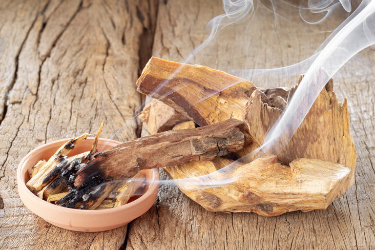 Kadzidełko Palo Santo – aromaty, które zmieniają przestrzeń i myśli